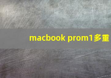 macbook prom1多重